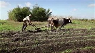 नेपालमा किसान आन्दोलन : संभावना र चुनौतिहरु