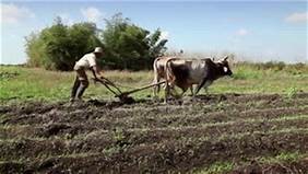नेपालमा किसान आन्दोलन : संभावना र चुनौतिहरु