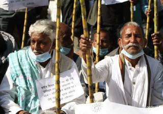 सरकारले  तोक्यो उखुको समर्थन मूल्य