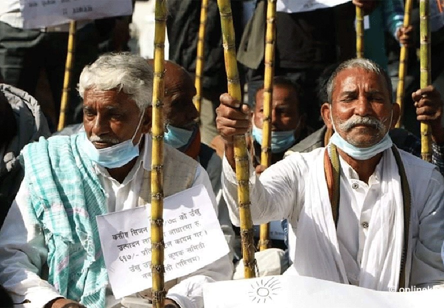 सरकारले  तोक्यो उखुको समर्थन मूल्य
