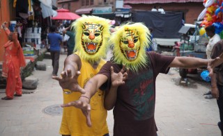 देश ! क्या गाईजात्रा ! यत्र तत्र सर्वत्र !!