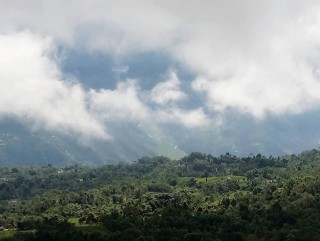 बिश्व खाद्य दिवस : नारा र अहिलेसम्मको पारा