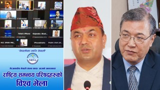 गैरआवासीय नेपाली संघको महाधिवेशन तत्काल गर्नुपर्छ, ६ महिना म्याद थप्ने प्रावधान विधानमै छैन’