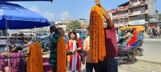 चितवनका किसानले बेचे २ करोडको माला