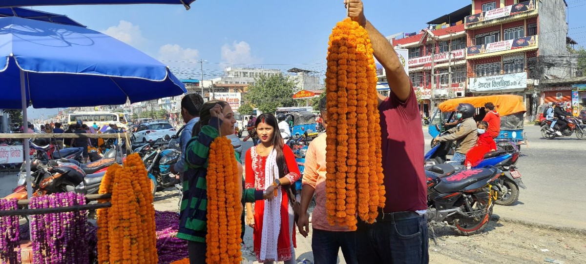 चितवनका किसानले बेचे २ करोडको माला