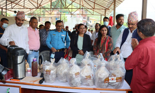 बहुऔषधीय गुण भएको राताे च्याउको व्यवसायिक उत्पादन