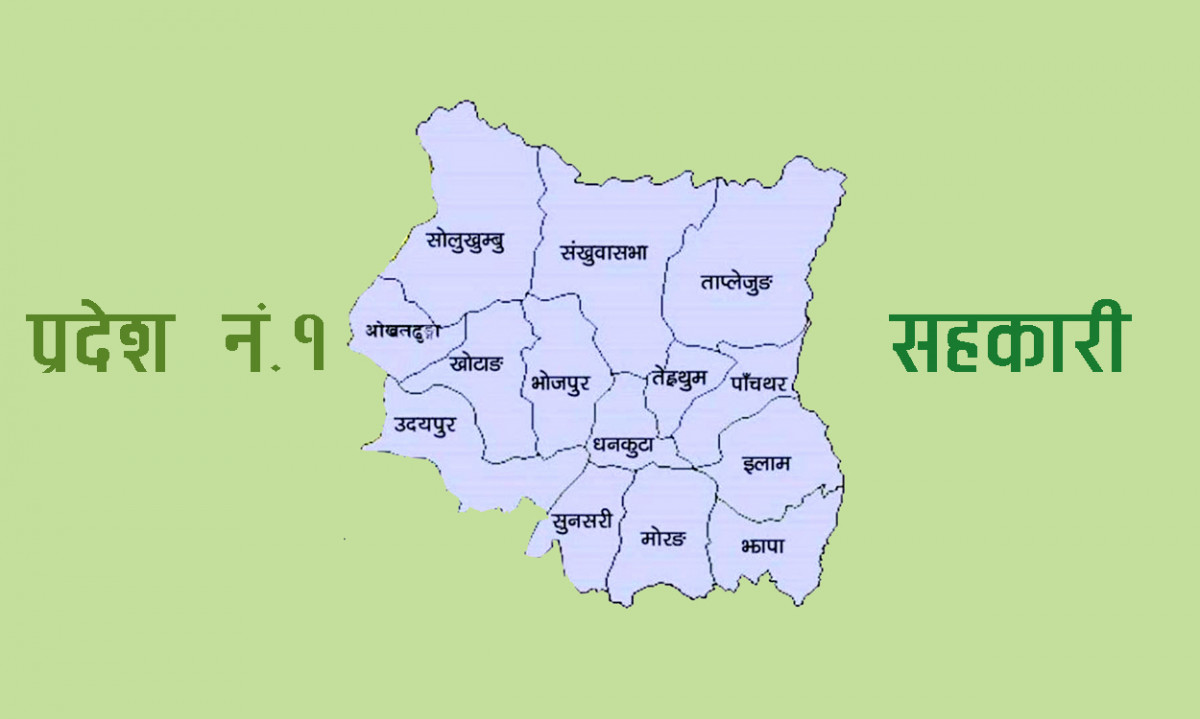 प्रदेश १ मा सहकारीप्रतिको आकर्षण बढ्यो