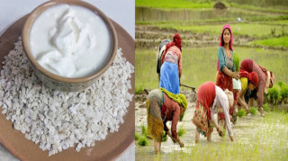 पर निर्भरताकाे पासाेमा परेकाे असार पन्ध्र  