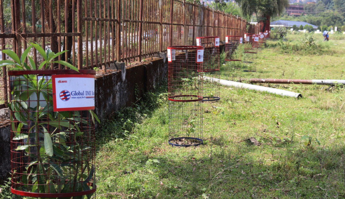 ग्लोबल आइएमई बैंकद्वारा त्रिवि आयुर्वेद क्याम्पसमा वृक्षारोपण