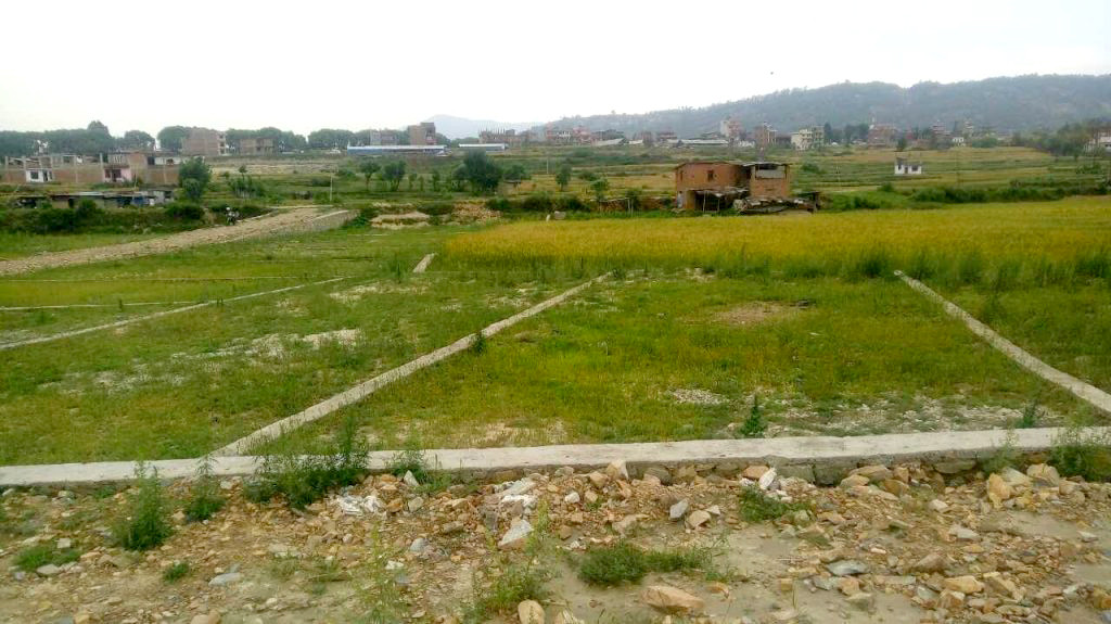 ३ करोड भन्दा माथिको घरजग्गा कारोबार इजाजत प्राप्त कम्पनीमार्फत गर्नुपर्ने