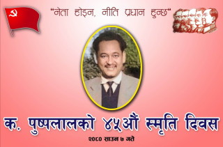 नेपाली क्रान्ति : क.पुष्पलालले अघि सारेका मौलिक नीतिहरु