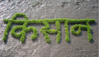 एमसीसी सम्झौता फिर्ता गर – ४  किसान संगठन