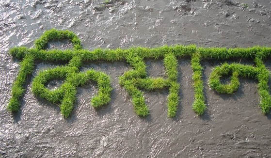 कृषि र किसानकाे बेवास्ता गरेकाेमा चार किसान संगठनद्वारा सरकारकाे बिराेध