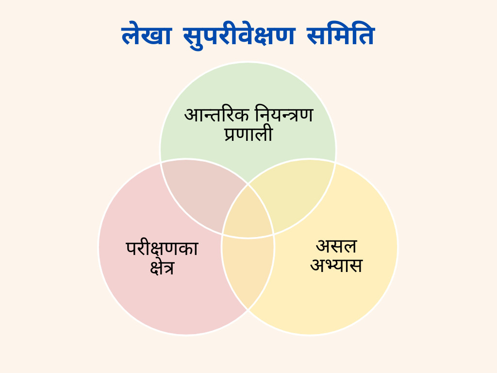 लेखा सुपरीवेक्षण समितिले के काम गर्ने, किन गर्ने