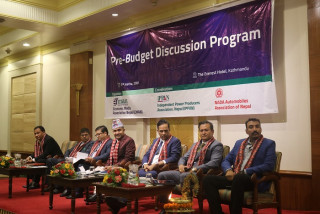 आगामी बजेट मार्फत उर्जा दशक घोषणा गर्न इप्पानको माग