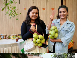 म्याङ्गो फेस्टः तीन दिनमा ३२ हजार किलो आँप विक्री