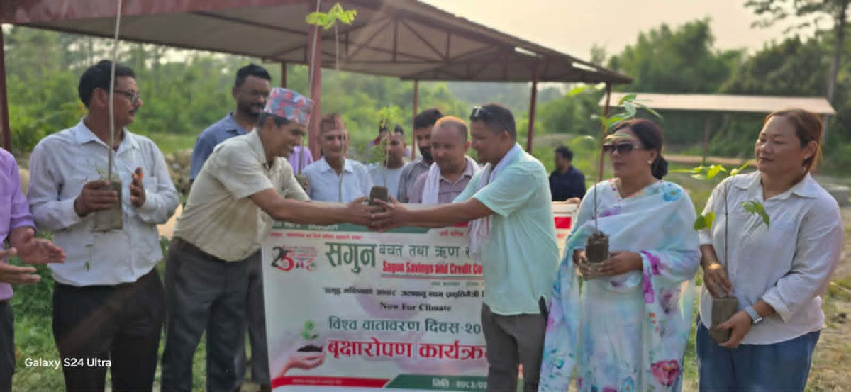 सगुन साकोसद्धारा विश्व वातावरण  दिवसको अवसरमा वृक्षारोपण तथा डष्टविन वितरण