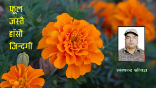 फूल जस्तै हाँसौं जिन्दगी