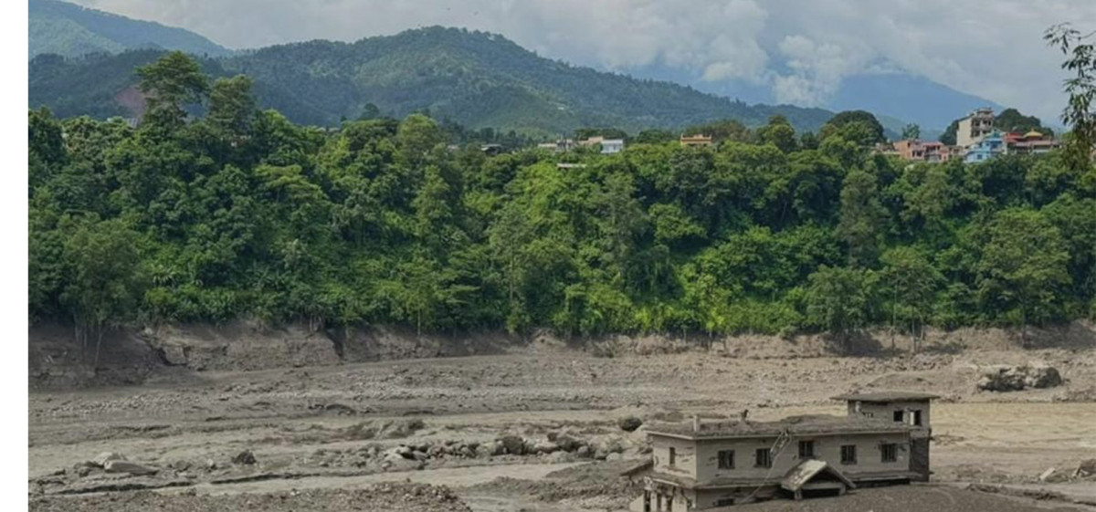 बोट बिरुवा बिना बिश्वमा मानव जीवन असम्भव